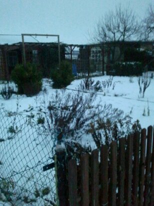 2012-01-17 16.35.58.jpg image