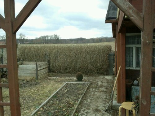 2012-02-25 13.33.47.jpg image