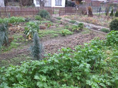 Gartenbeete im Dezember