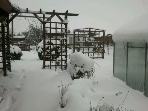 Winter im Garten