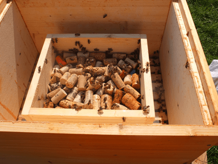Bienen Fütterung Futterbehälter