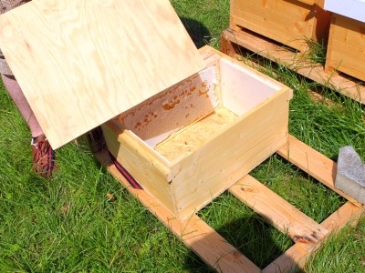 Sammelbehälter für Honigwaben Deckel