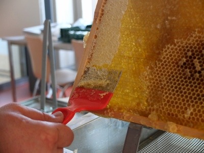Honigwaben entdeckeln mit dem Entdeckelungsgeschirr