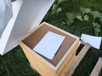 Bienenbeute mit Stockkarte