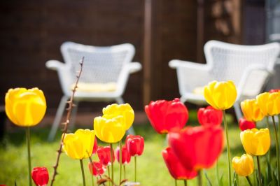 Tulpen Stühle und Sitzecke im Garten im Mai