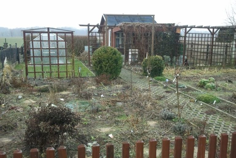 Garten Anfang März 2013
