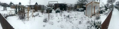 Panorama im Garten im Winter 2014