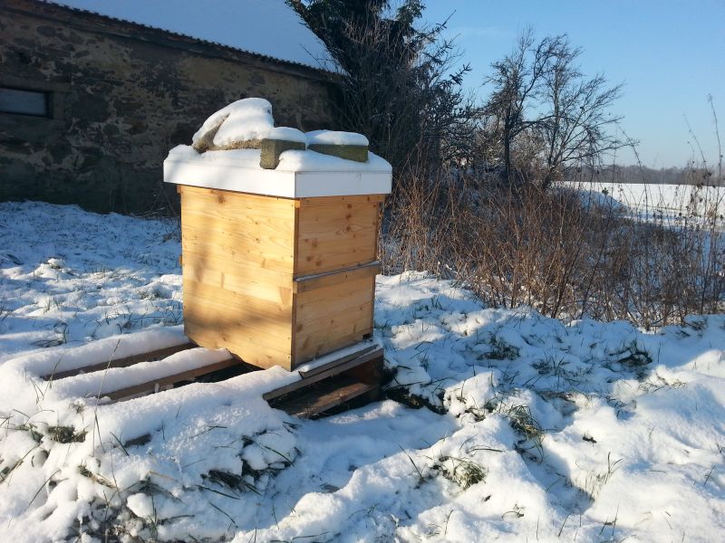 Bienen im Winter Januar 2014 Magazinbeute