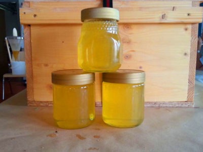 goldgelber Honig im Glas aus eigener Ernte