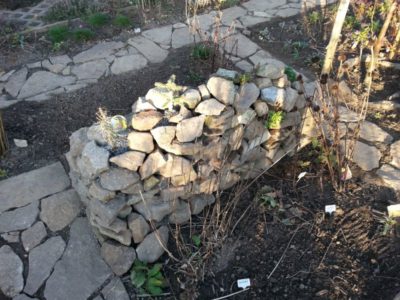 Natursteinmauer Trockenmauer