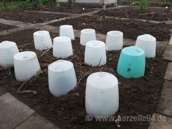 Der Garten Im Marz 2014 Boden Bearbeiten Pflanzen Und Saen Im