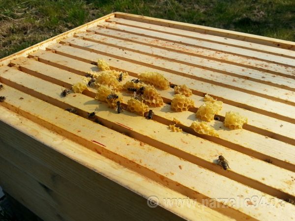 Der Garten im März 2014 - Boden bearbeiten, Pflanzen und Säen im