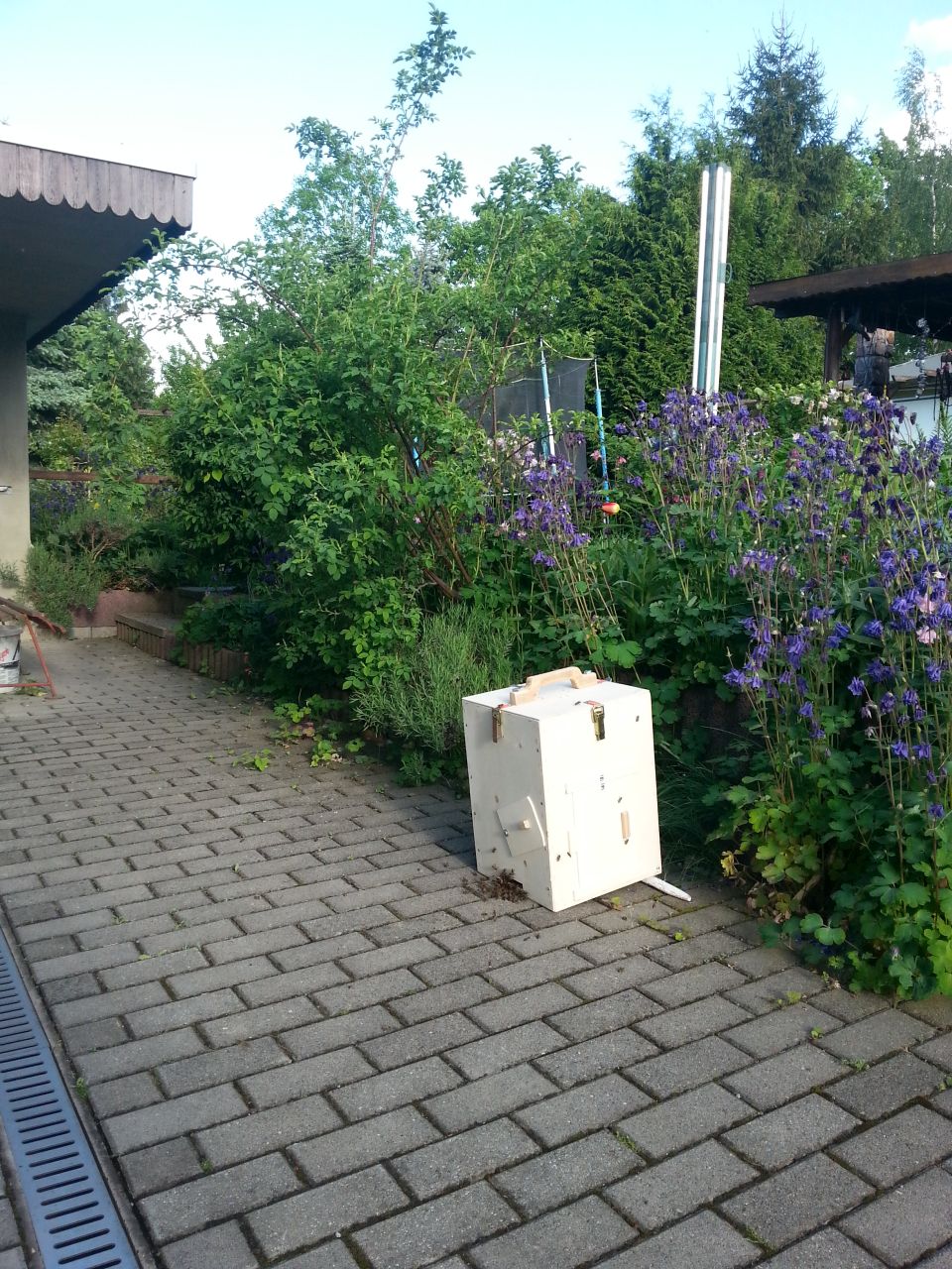 Schwarmkiste