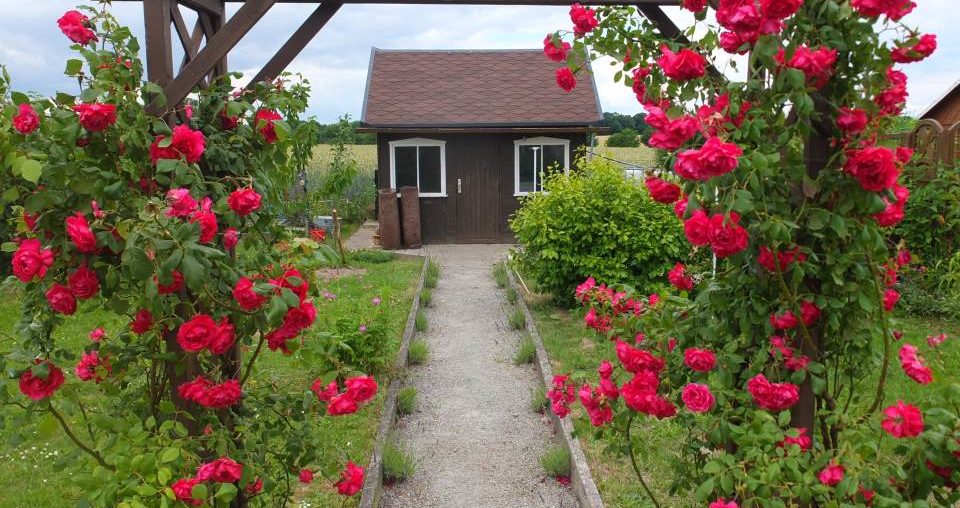 Renovierung der Gartenlaube Teil 1 – Der Ausgangszustand Gesamtansicht der Laube vor der Renovierung