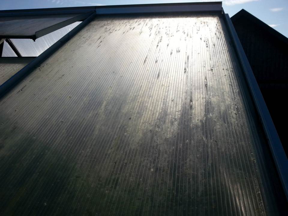 Gewaechshaus Doppelstegplatten 3800 vor der Reinigung verschmutzt