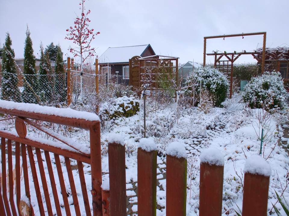 Garten Winter Dezember 2014