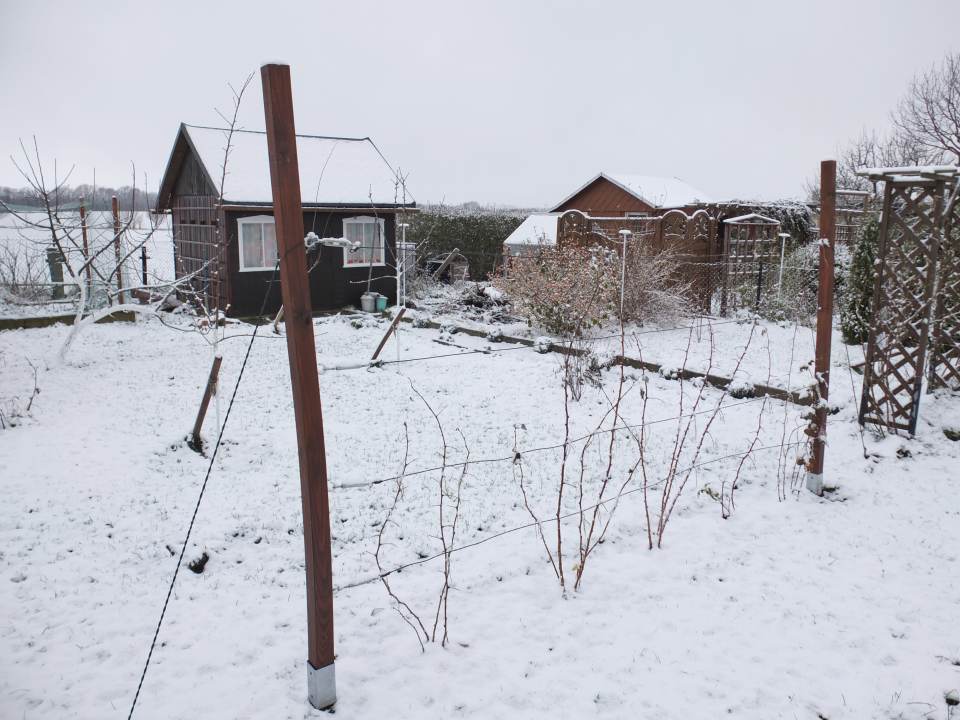 Obstgarten im Winter Himbeerspalier