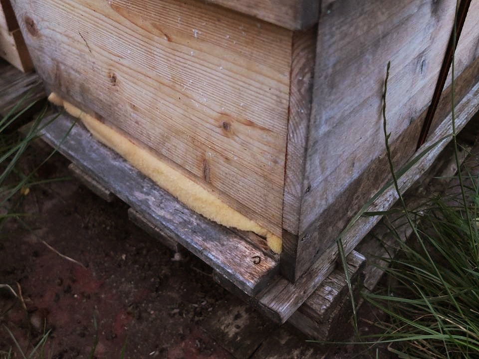 Bienen umstellen Flugloch verschliessen