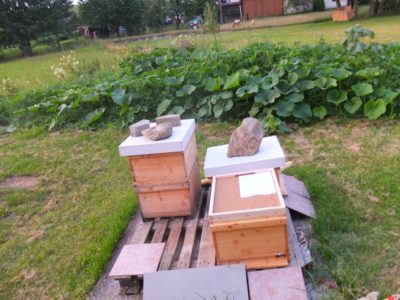 Bienen umstellen alter Standort auf Paletten