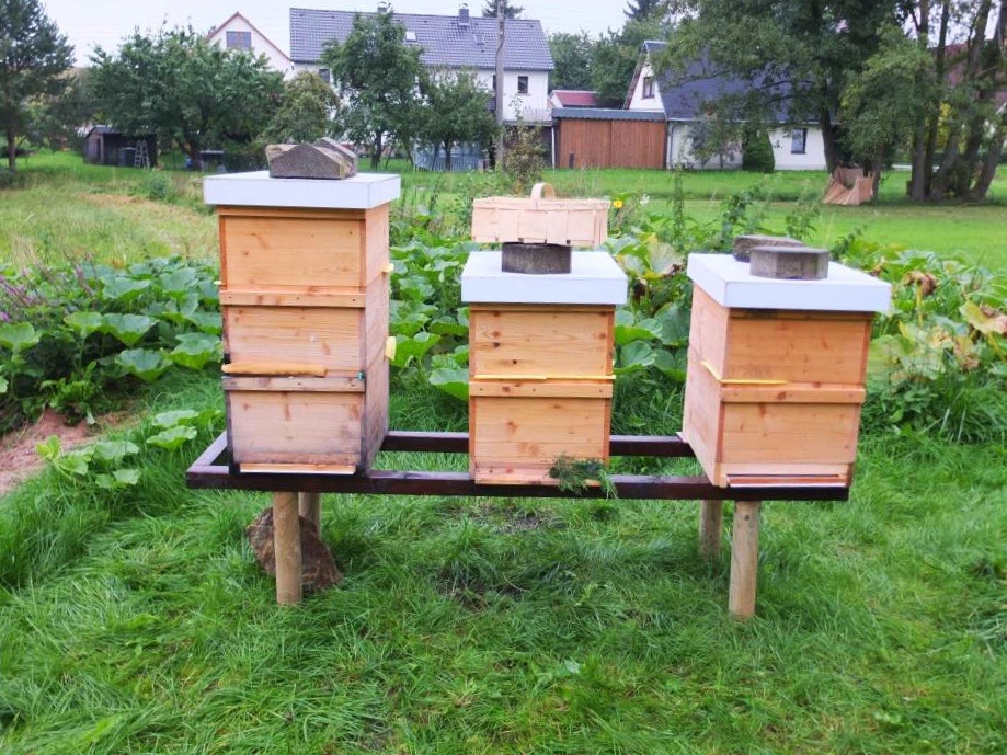 Bienen umstellen naechster morgen