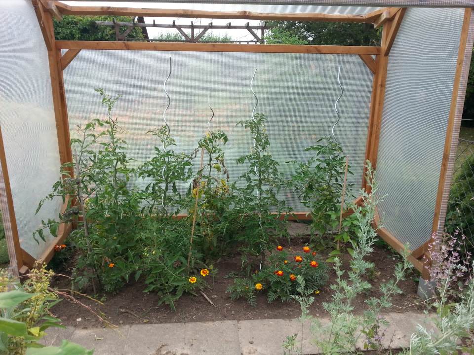 Jahresrueckblick 2014 Parzelle94 Sommer Tomatenhaus