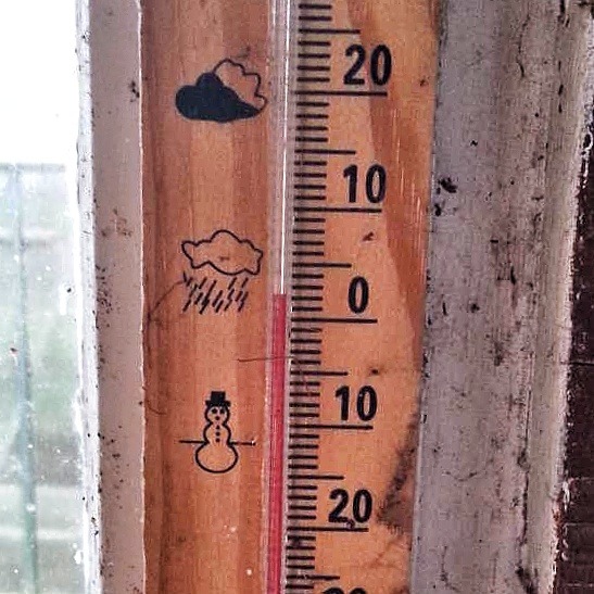 Radies saeen Dezember Gewaechshaus Thermometer