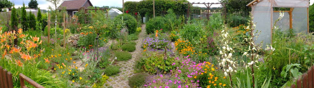 Kleingarten Panorama mit Staudenbeet und Gemüsebeeten