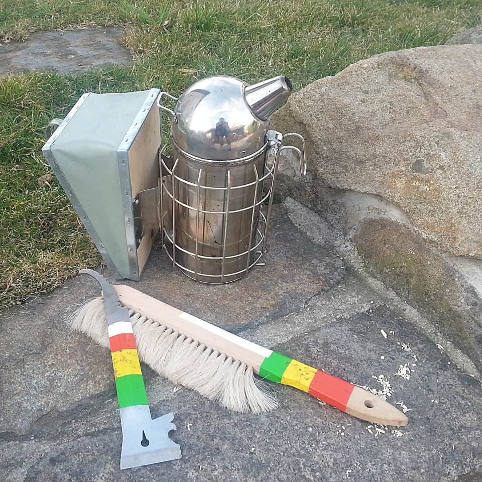 Erste Bienendurchsicht - ich imkere jetzt mit Trennschied