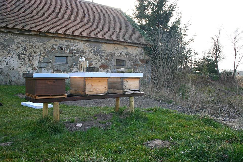 Bienen nach der Fruehjahrsdurchsicht 2015