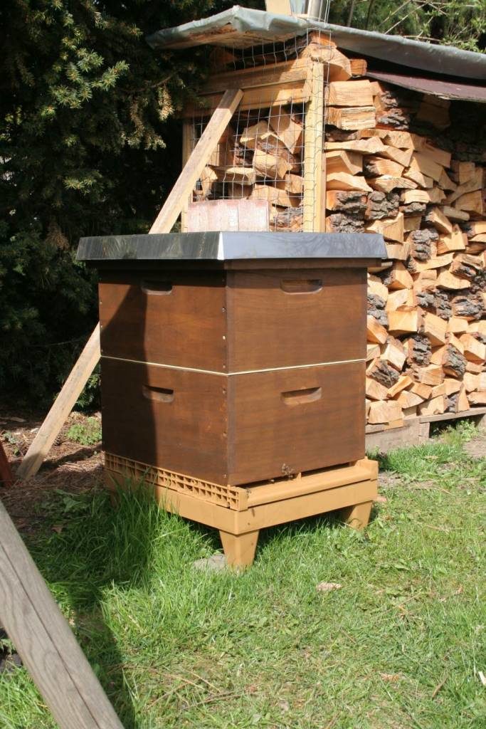 Bienen Honigraum April 2015