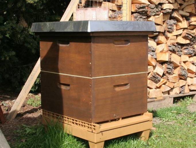 Bienen Honigraum April 2015