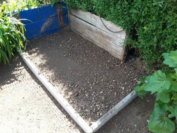 Es wird Sommer - und es riecht nach Riesenkürbis! — Parzelle94.de