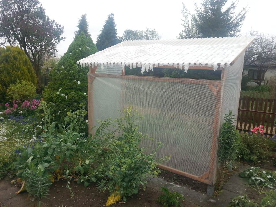 Tröpfchenbewässerung Garten Tomatenhaus