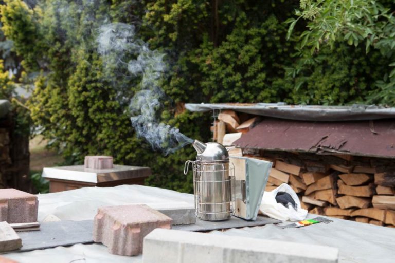 Bienen Smoker Rauch Jessica Grossmann