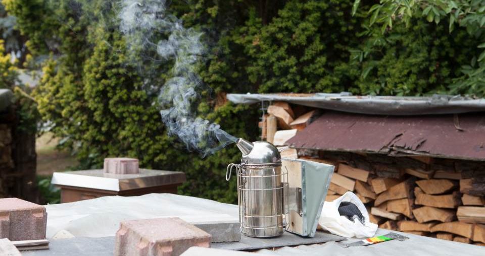 Bienenvolk geschwärmt – Durchsicht jetzt! Bienen Smoker Rauch Jessica Grossmann