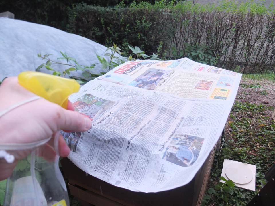 Bienenvolk vereinigen September Zeitungspapier zwischen Zargen sprühen Wasser