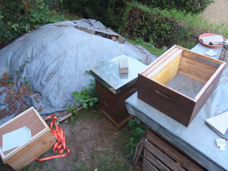 Bienenvolk vereinigen September am Bienenstand Leerzarge