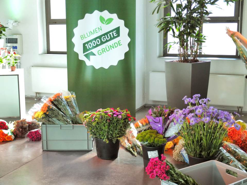 1000gutegruende Bloggerevent 2015 Parzelle94 Schnittblumen