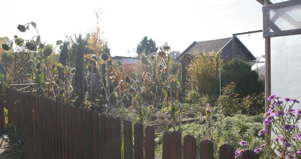 Garten winterfest machen für Leute mit wenig Zeit Garten winterfest machen Parzelle94 Herbstgarten