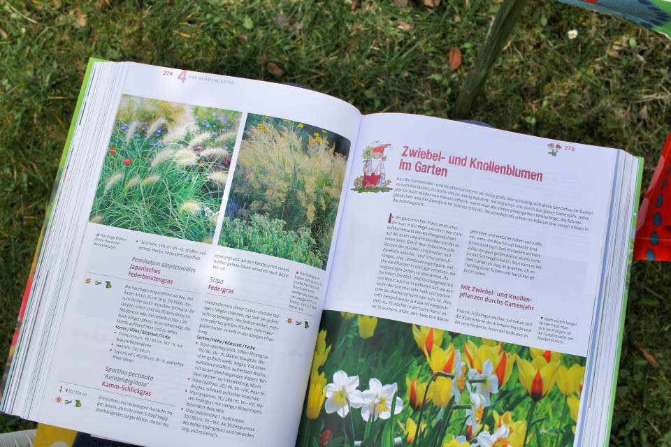 Das grosse Ulmer Gartenbuch Rezension Vorstellung Zwiebelblumen Knollenblumen