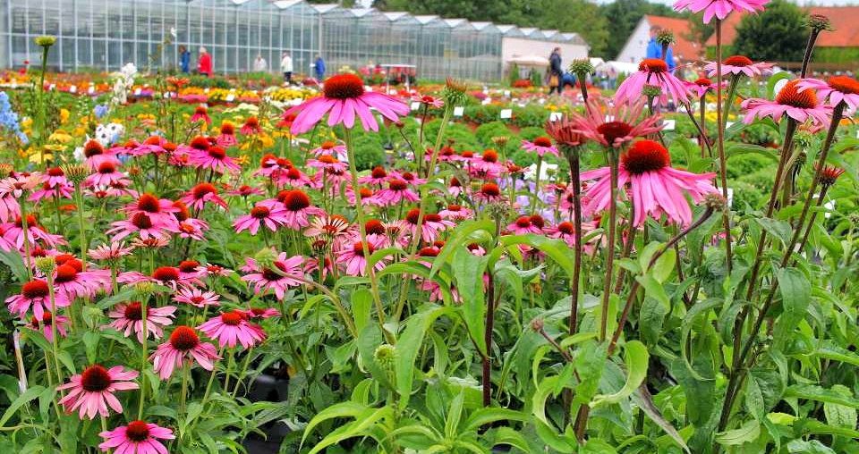 Das Gartenbloggertreffen 2016 – mein Rückblick