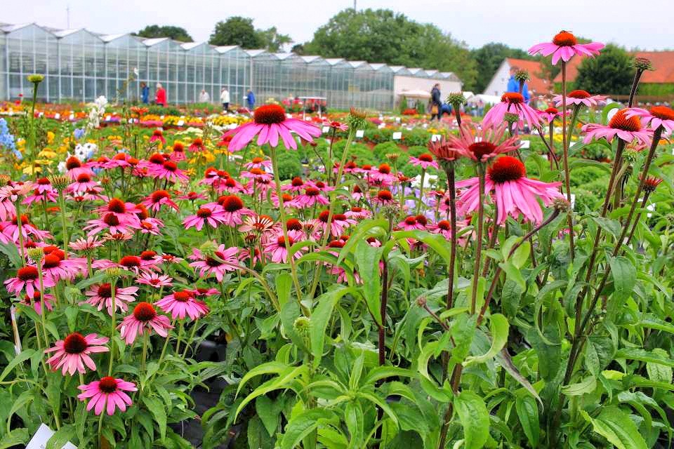 Das Gartenbloggertreffen 2016 – mein Rückblick
