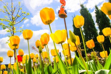 Was bisher geschah... und was gerade im Garten los ist... und warum