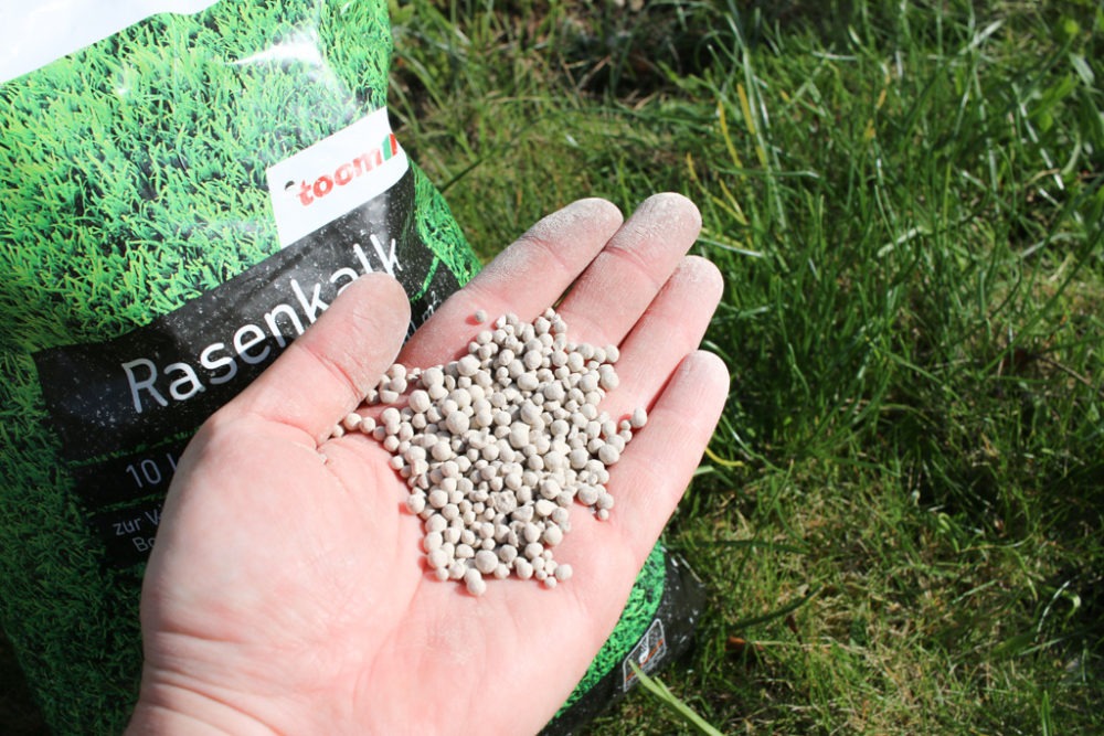 Rasen erneuern - Vorbereitung, Kalken, Schwitzen — Parzelle94.de