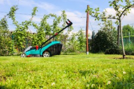 Rasen vertikutieren - Test VIKING LE540 — Parzelle94.de