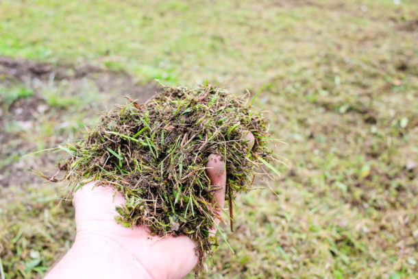 Rasen vertikutieren - Test VIKING LE540 — Parzelle94.de