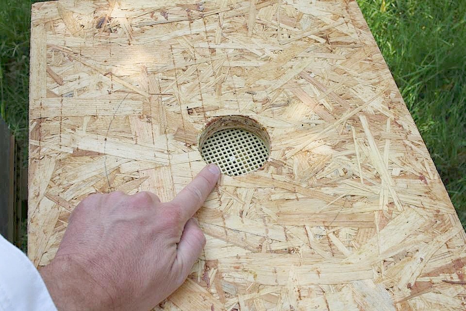 Rückseite der Bienenflucht auf einer OSB Platte