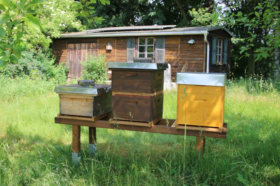 Drei Bienenvölker in Magazinen im Garten
