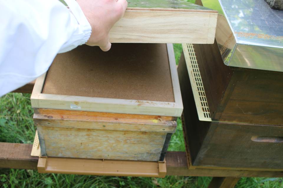 Bienenbehausungen bei denen der Deckel abgenommen wird
