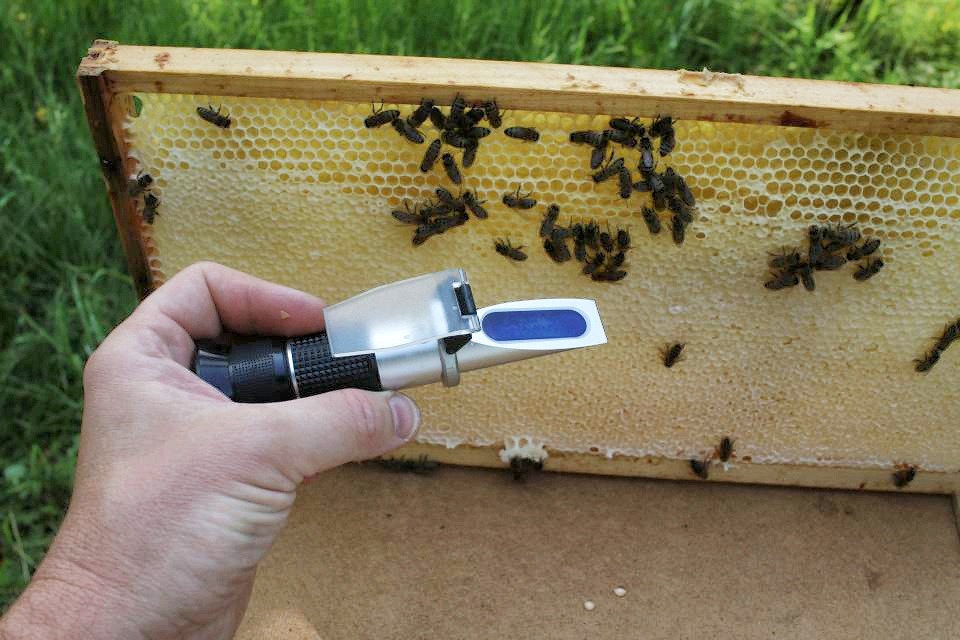 Das Refraktometer misst die Honigfeuchte